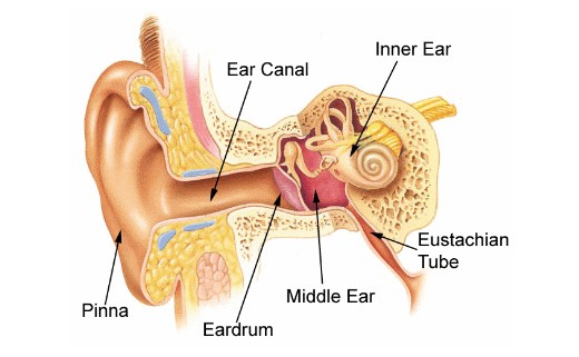 gangguan pendengaran